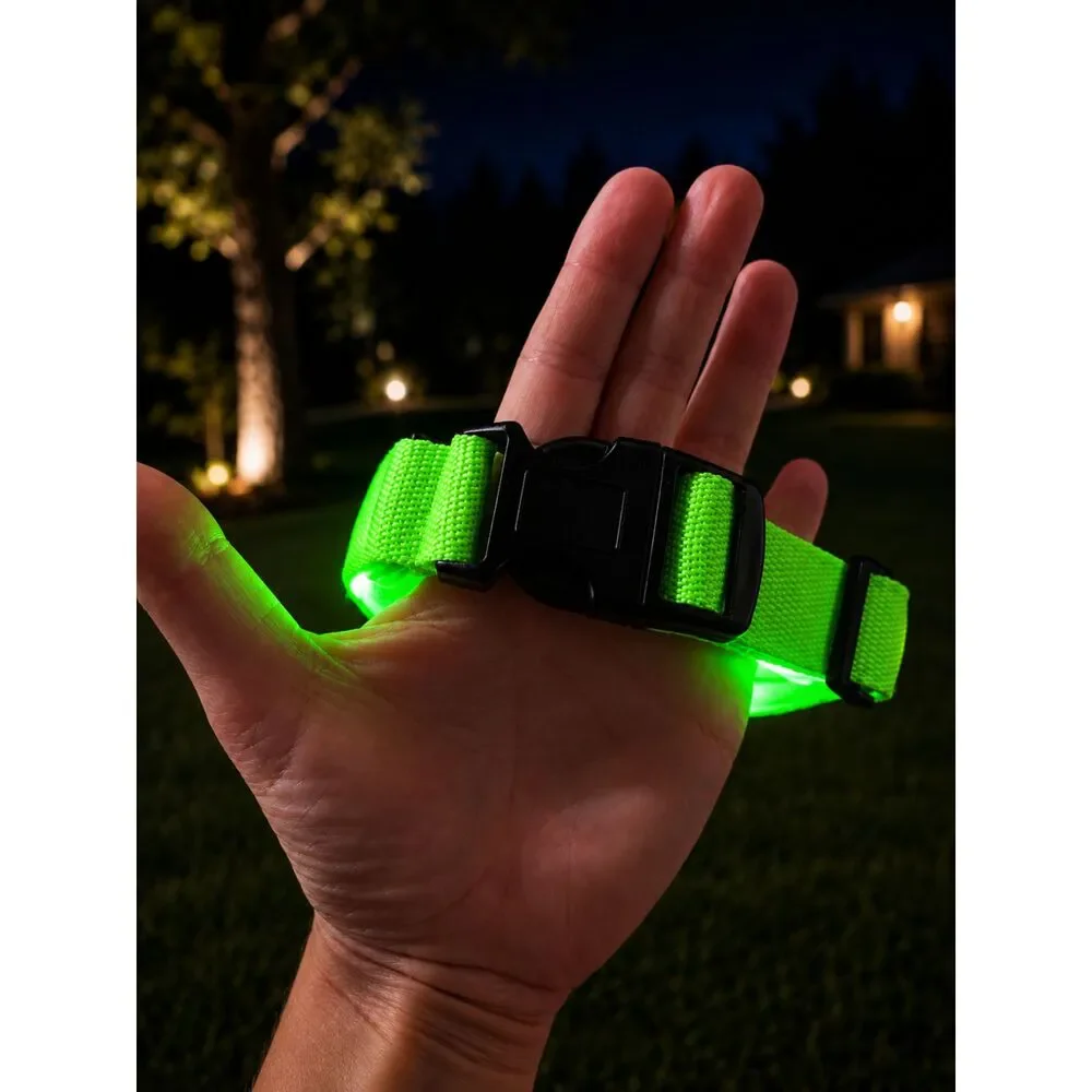 Green LED Dog Collar XL Light Up Flashing Night Safety Collar